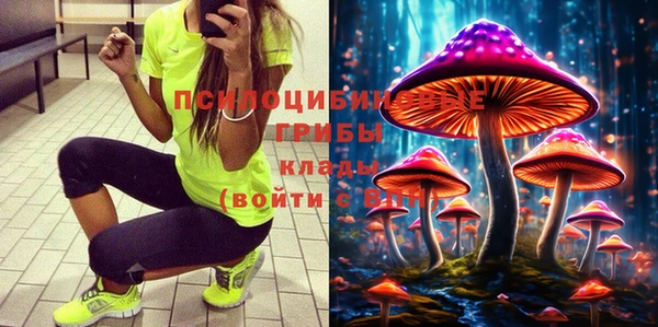 метадон Каменногорск