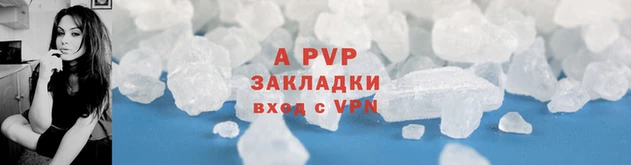 PSILOCYBIN Каменск-Шахтинский