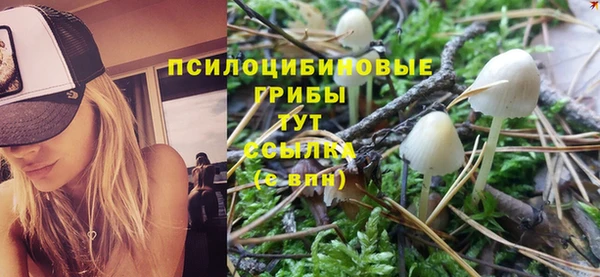 PSILOCYBIN Каменск-Шахтинский