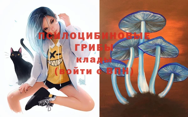 spice Каменка