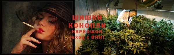 PSILOCYBIN Каменск-Шахтинский