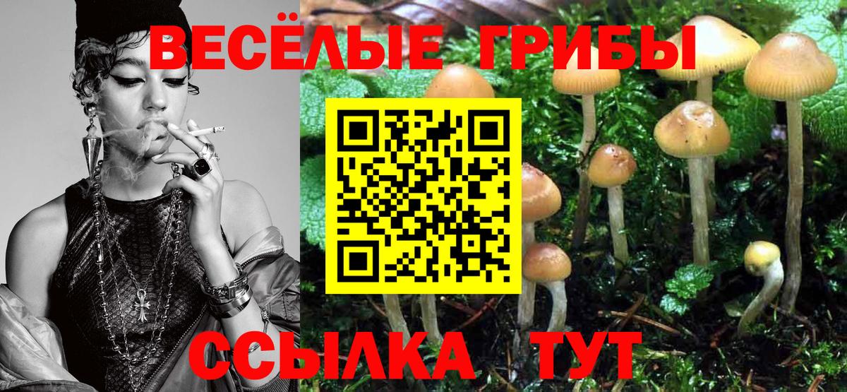Галлюциногенные грибы мухоморы Йошкар-Ола